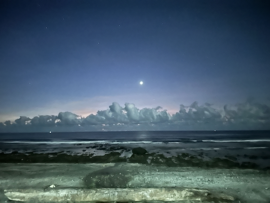 Venus Shot 